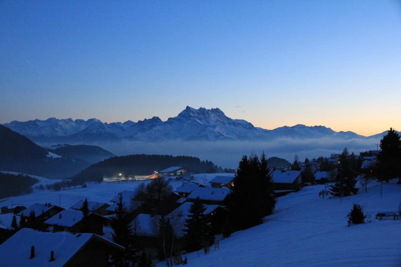 La Petite Silene Lägenhet Leysin Exteriör bild
