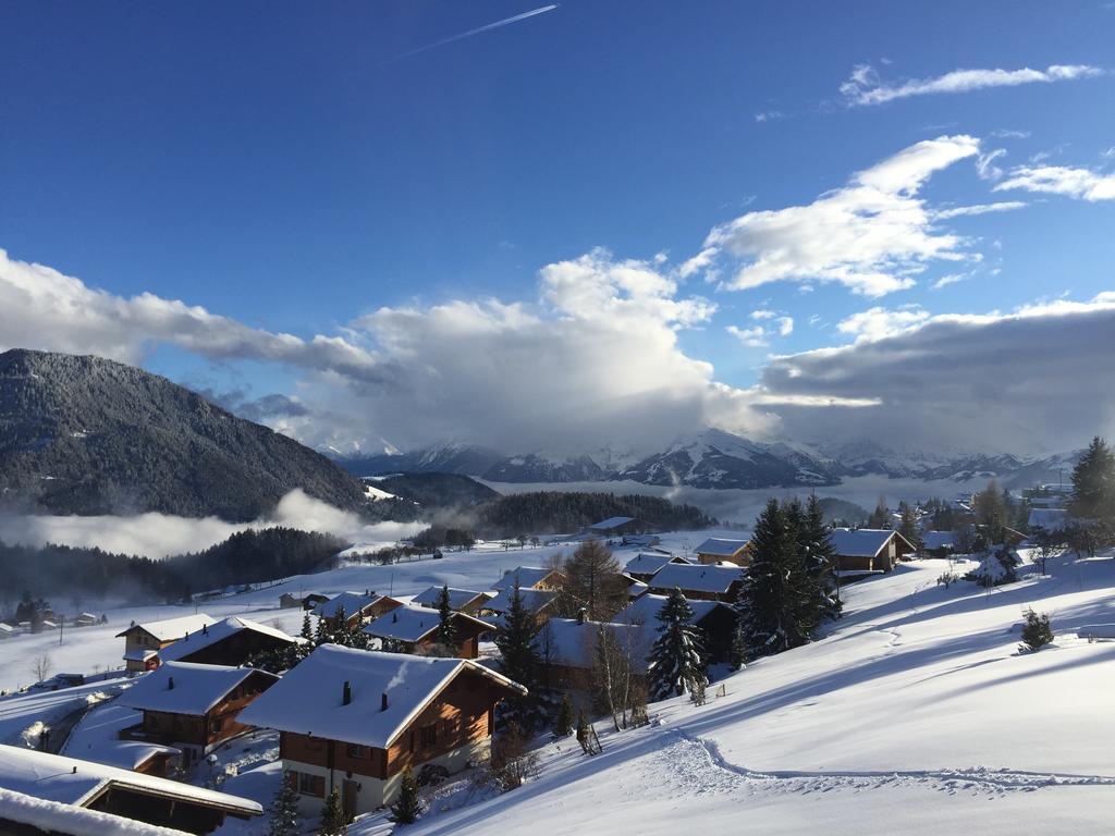 La Petite Silene Lägenhet Leysin Rum bild