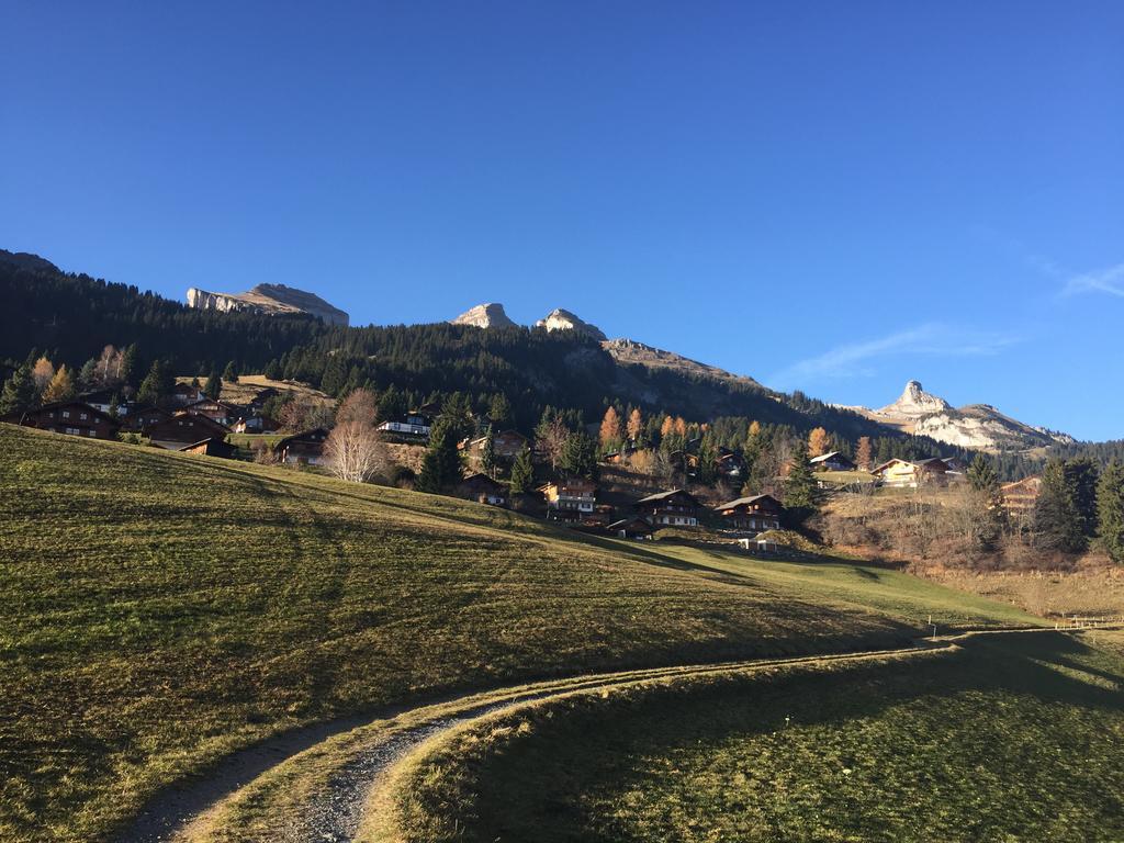La Petite Silene Lägenhet Leysin Rum bild