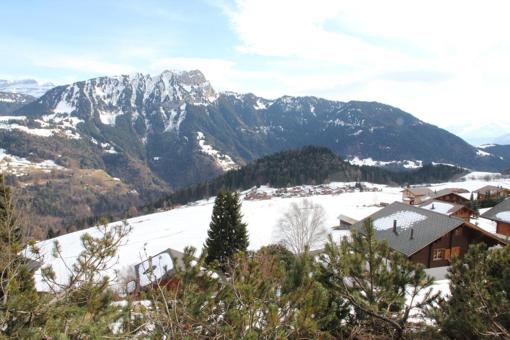 La Petite Silene Lägenhet Leysin Exteriör bild