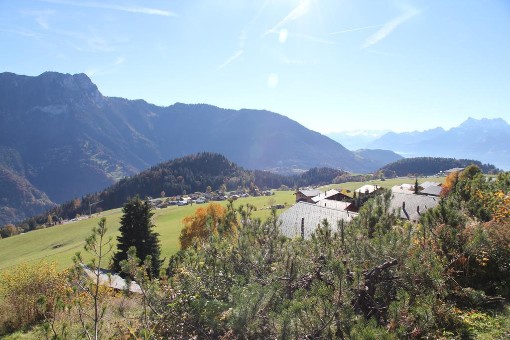 La Petite Silene Lägenhet Leysin Exteriör bild