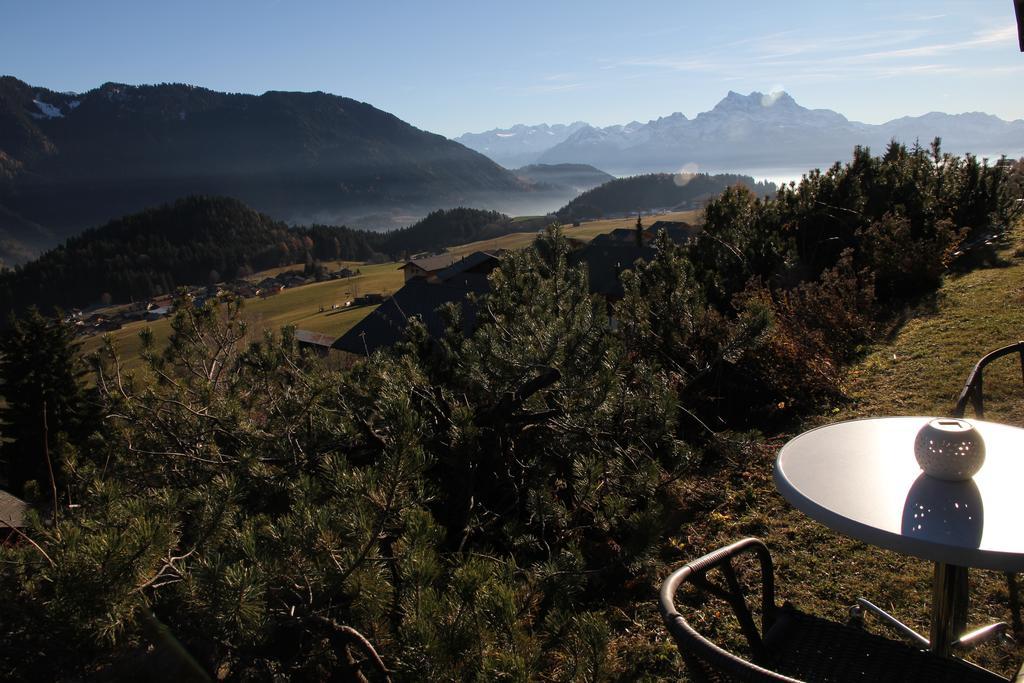 La Petite Silene Lägenhet Leysin Exteriör bild