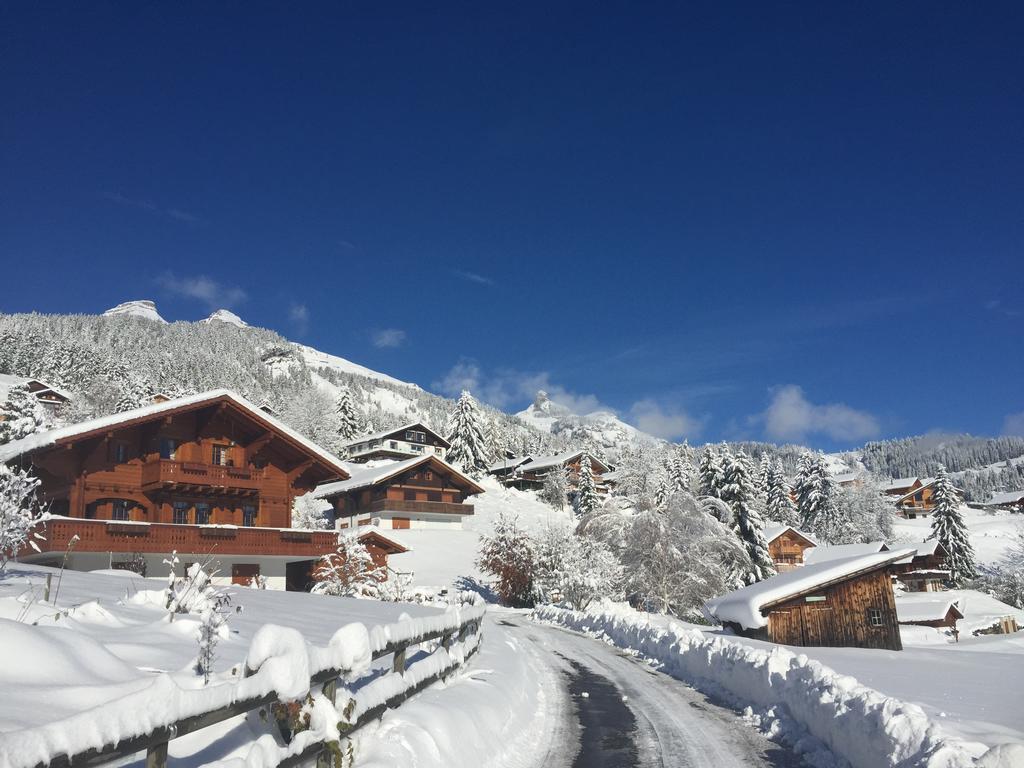 La Petite Silene Lägenhet Leysin Exteriör bild