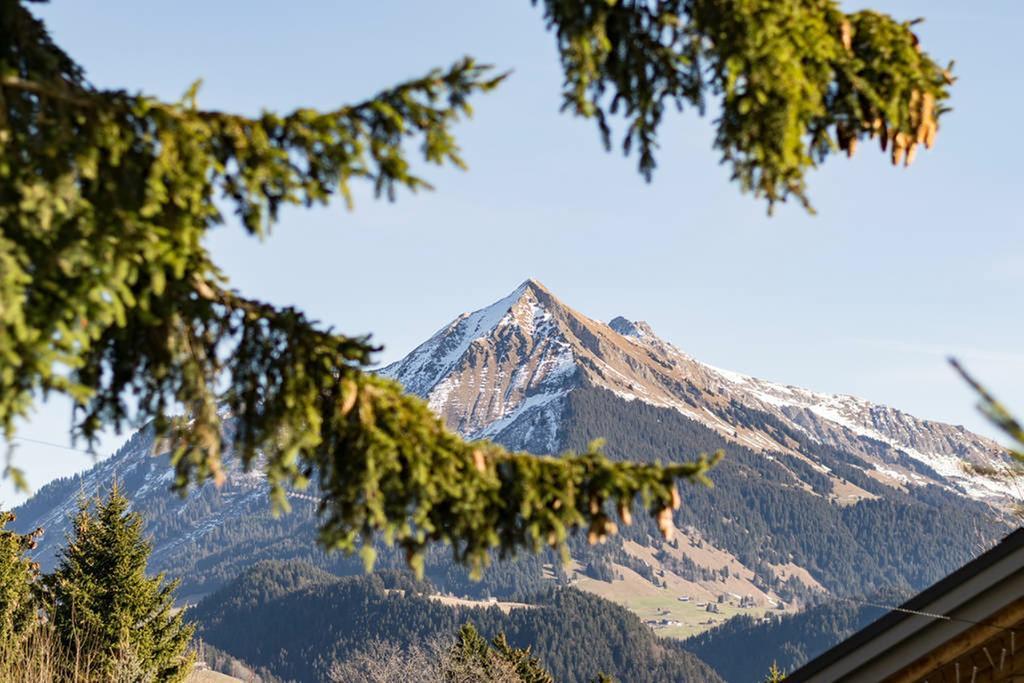La Petite Silene Lägenhet Leysin Exteriör bild